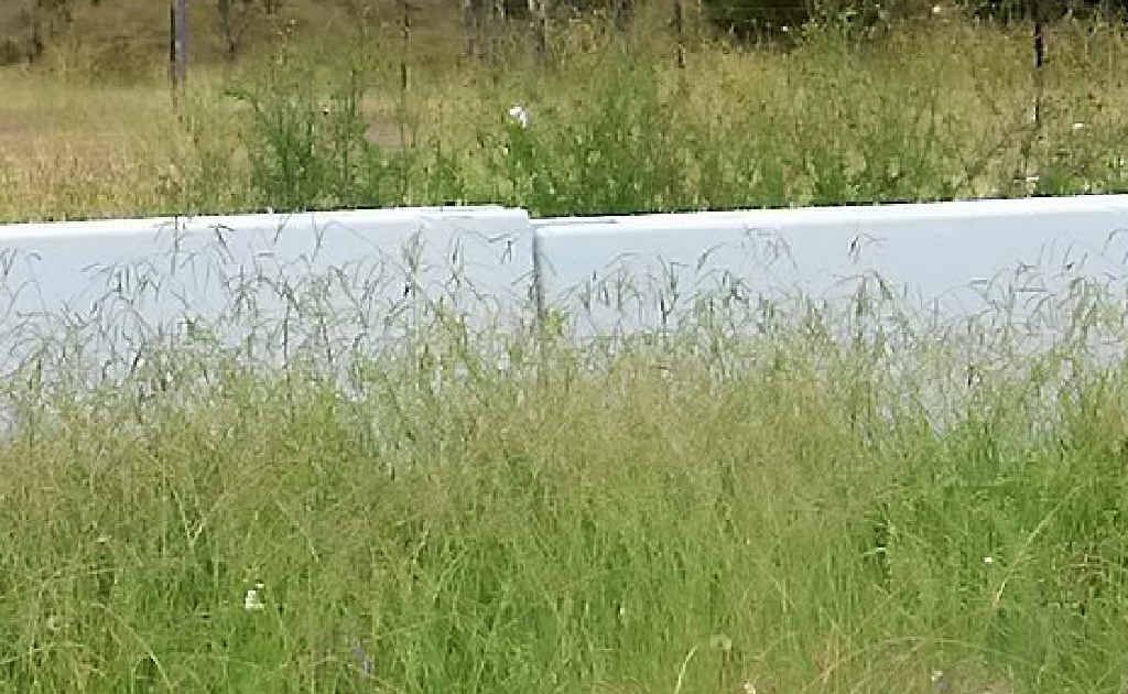 Leyburn Sprints barriers. Leyburn Sprints barriers.